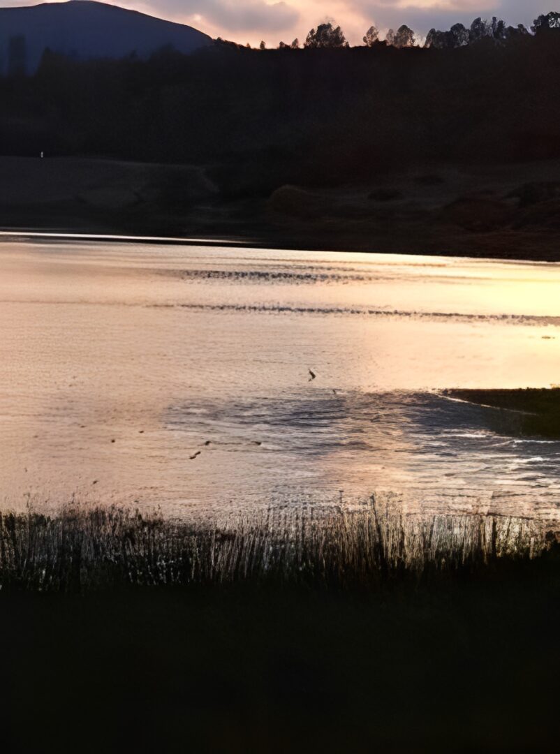 Serene lake with sunset reflection