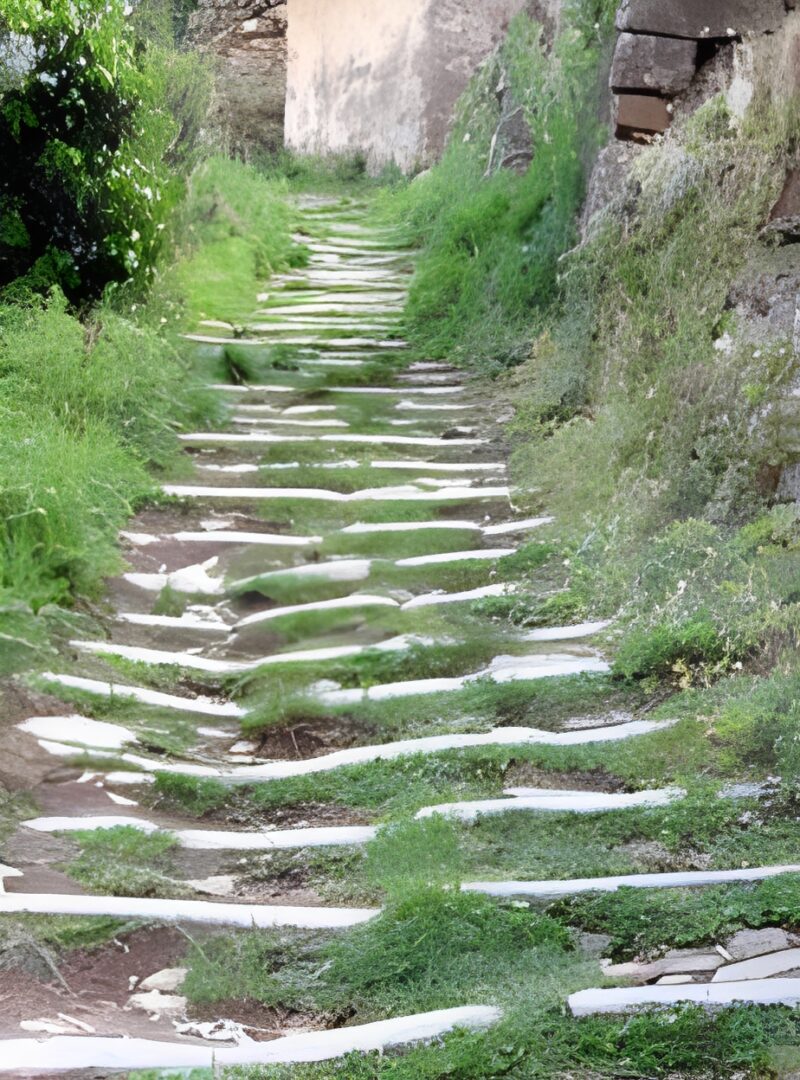 Overgrown stone steps in nature